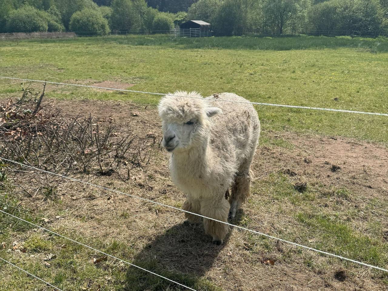 Seehaus Luwi Royal - Ferienhaus, Dusche und Bad, Wc, 3 Schlafräume in Ludwigswinkel, Pfalz