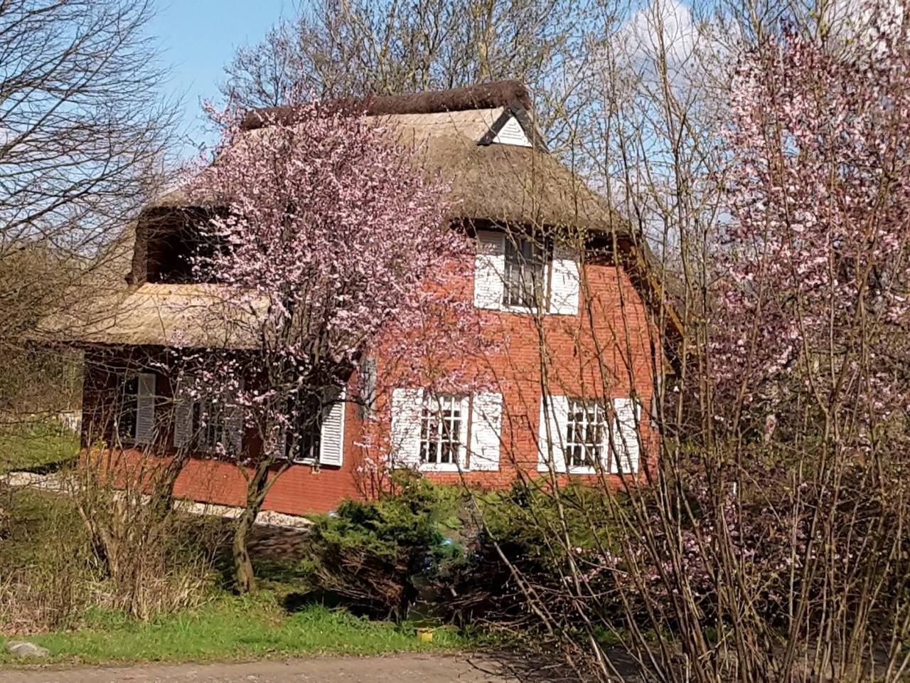 Idyllisches Reetdachhaus mit großem Garten in Poseritz, Stralsund Umland