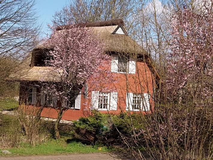 Idyllisches Reetdachhaus mit großem Garten in Poseritz, Stralsund Umland