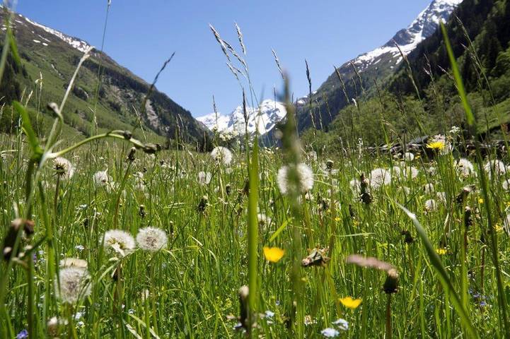 Bauernhaus für 5 Personen, mit Garten und Pool sowie Sauna und Balkon, mit Haustier im Salzburger Land - 2