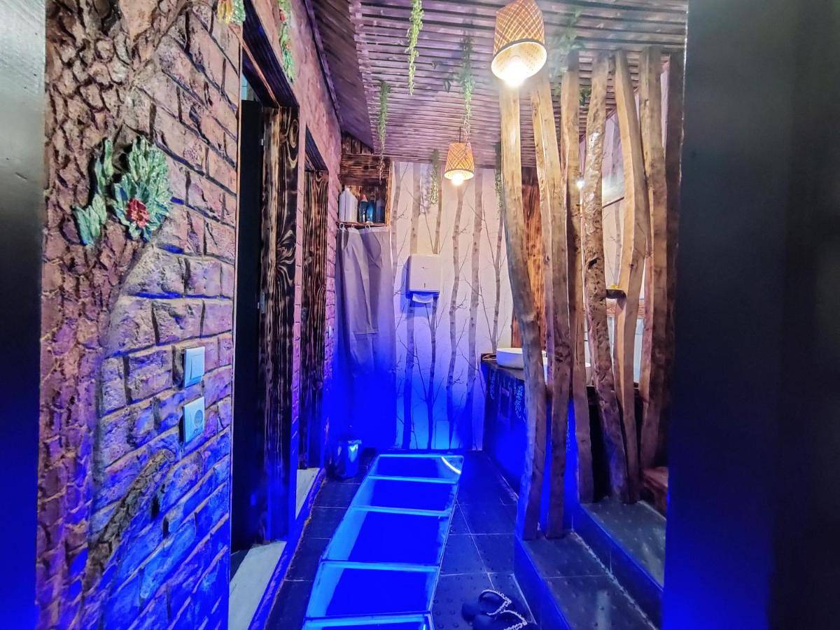 Apartamento de férias inteiro, Dois amigos- Casa Amazonia Pt in Coimbra, Distrito de Coimbra