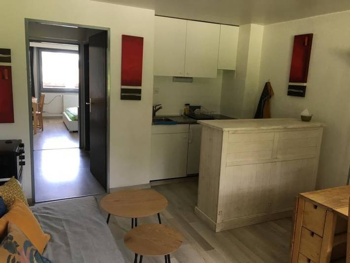 Gîte pour 3 personnes, avec balcon et piscine, animaux acceptés dans Morgins - 3