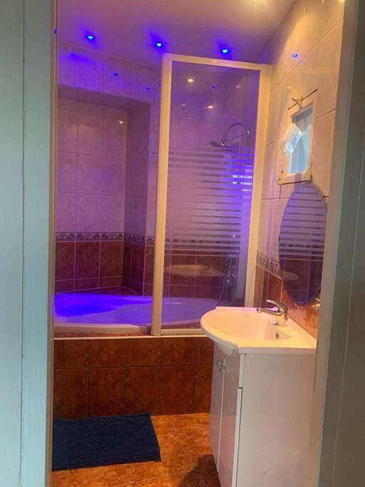 Gîte pour 4 personnes, avec vue et terrasse, animaux acceptés à Rive-de-Gier - 2