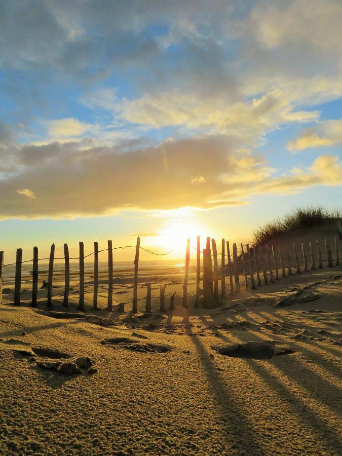 Standard Double Room in Barmouth, Snowdonia