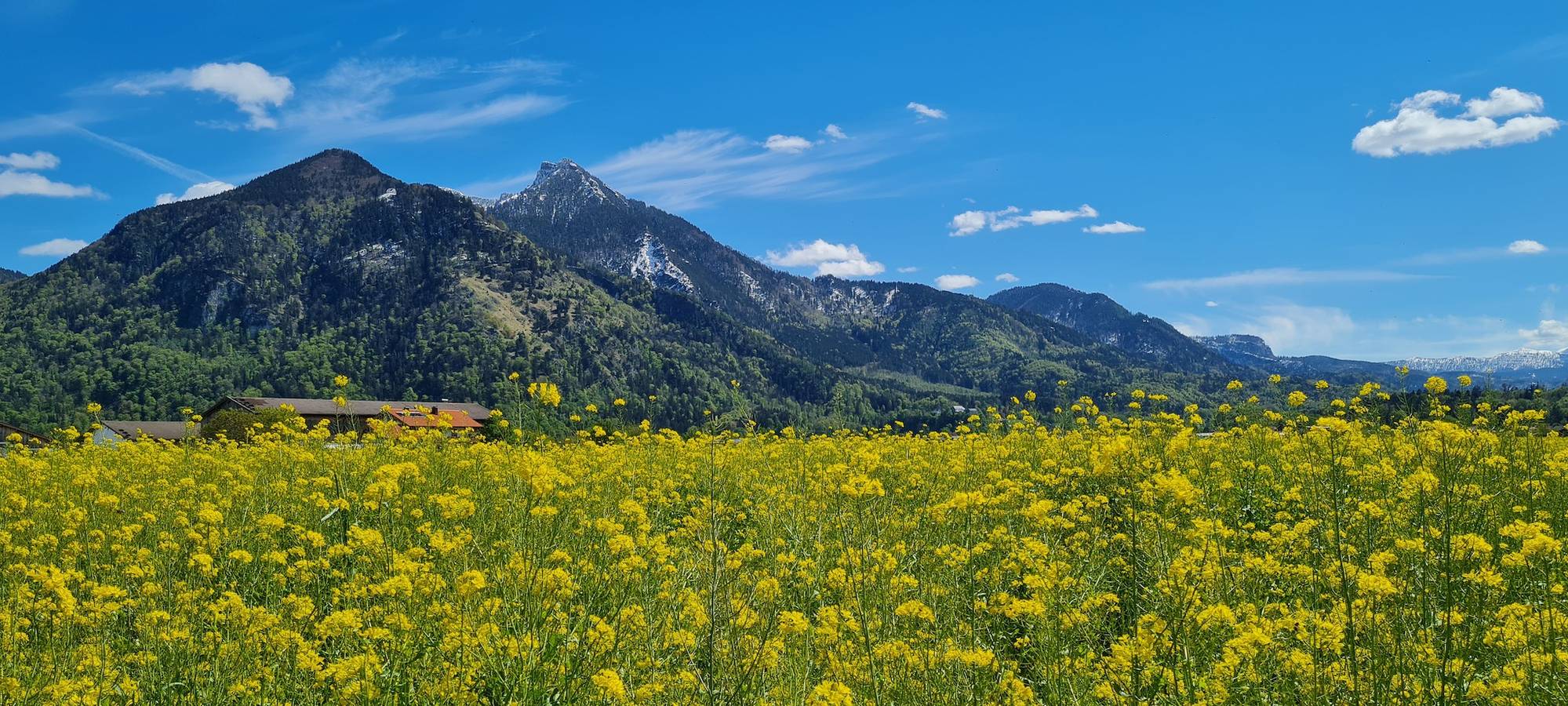 Apartamento vacacional entero, Ferienwohnungen Helga Roßbach - holiday flat in Grassau, Lago Chiem