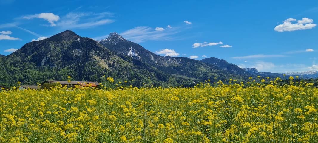 Ganze Ferienwohnung, Ferienwohnungen Helga Roßbach - Ferienwohnung 3, 40qm in Grassau, Chiemsee