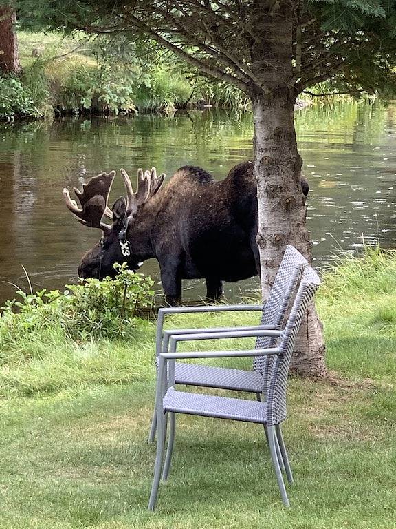 Log Cabin for 6 Guests in Grand Lake, Grand County