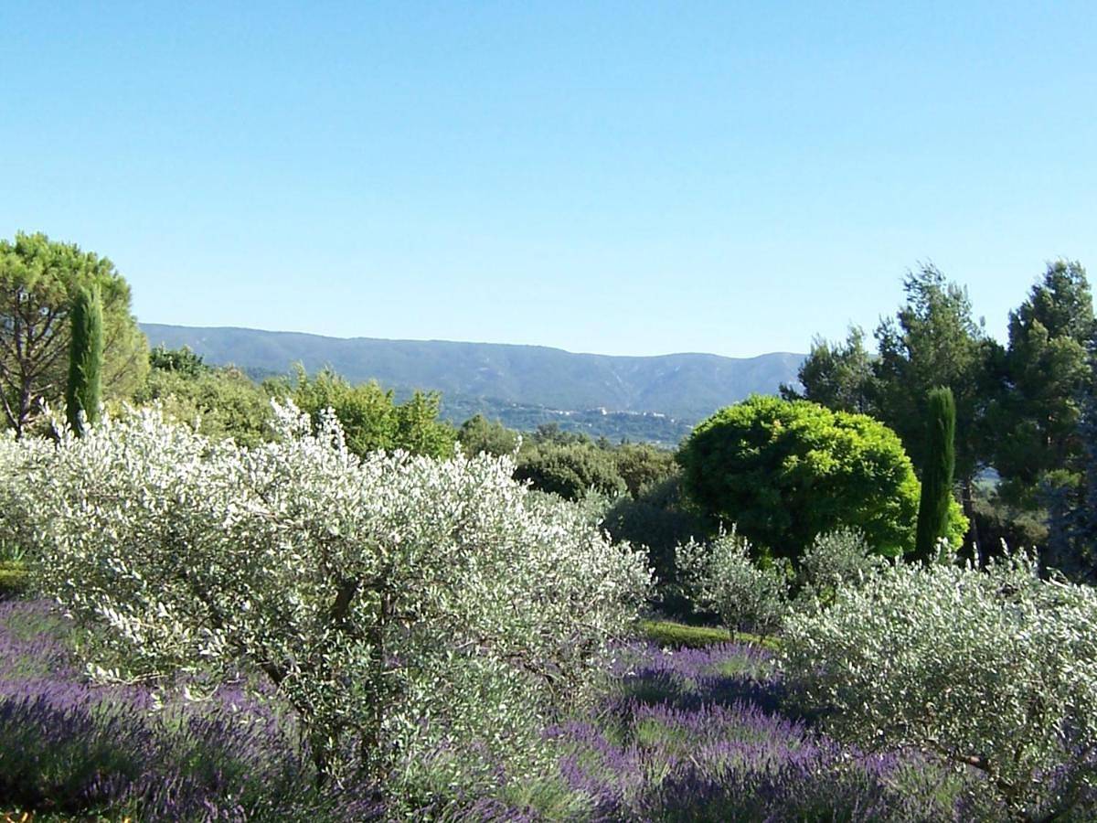 Lou Granos in Beaumettes, Parc naturel régional du Luberon