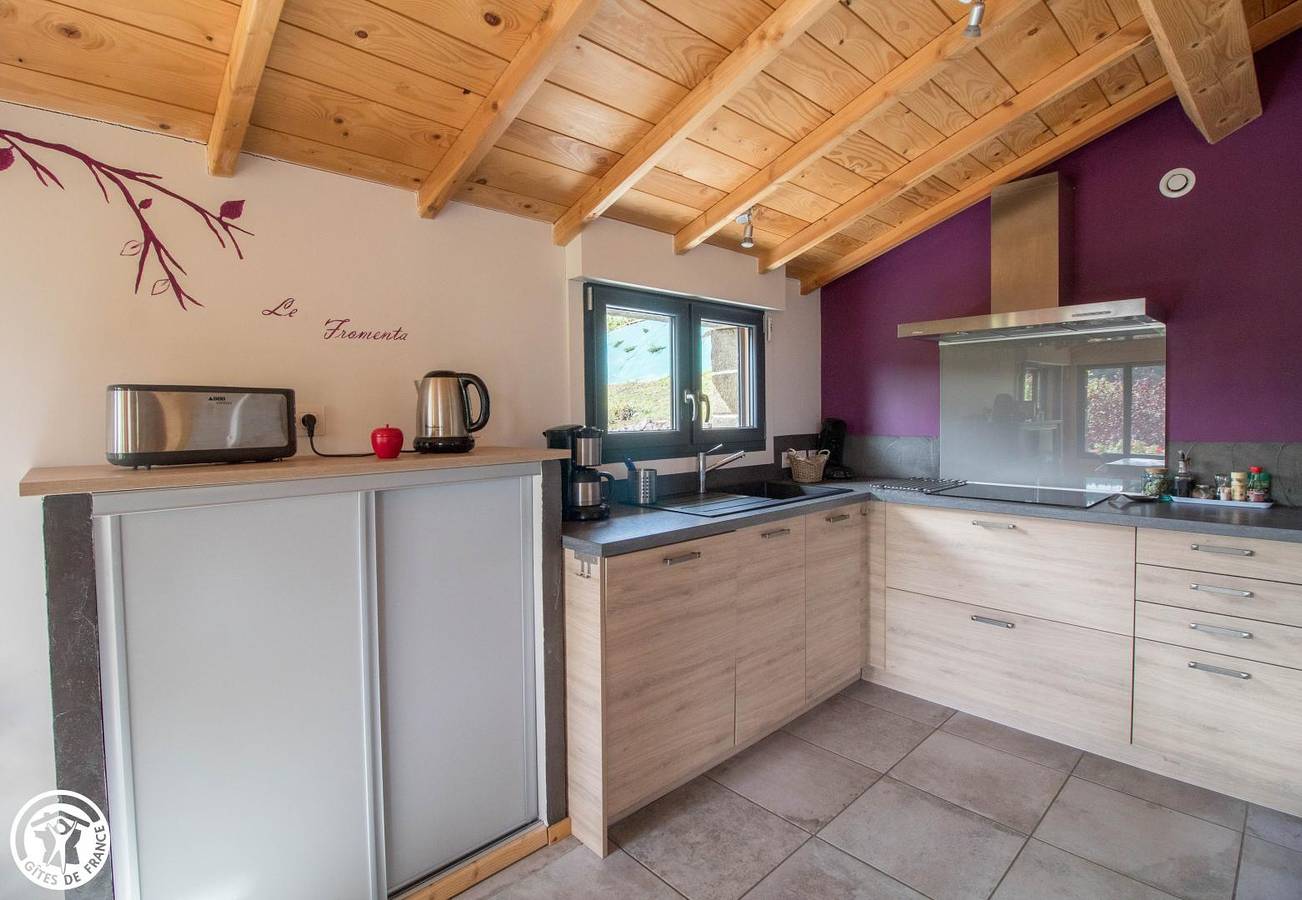 Gîte für 6 Personen mit Terrasse in Chambon-Sur-Lac, Regionaler Naturpark Volcans D'auvergne