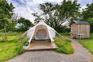 Glamping for 4 People in West Down, Devon, Photo 1
