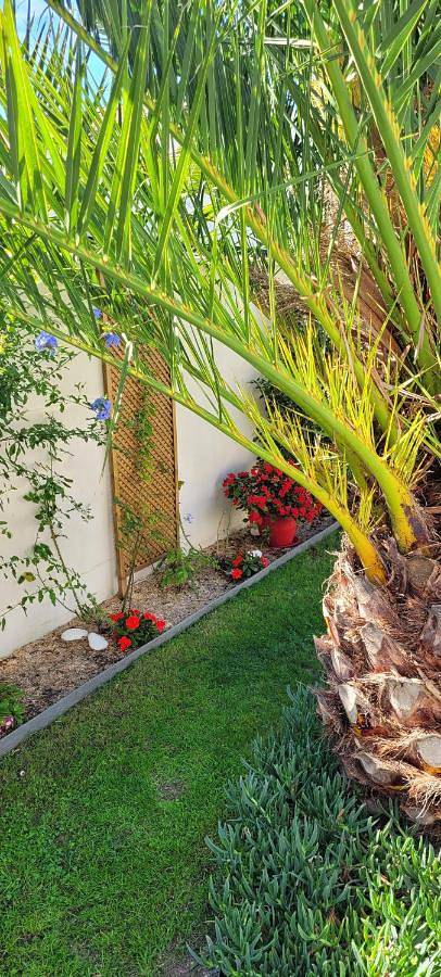 Gîte pour 2 personnes, avec terrasse à Breuillet - 4