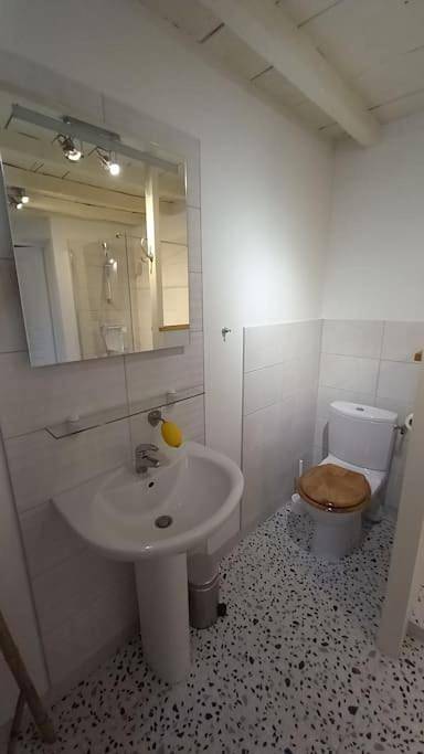 Location de vacances pour 4 personnes, avec jardin ainsi que piscine et vue à Loudun - 4