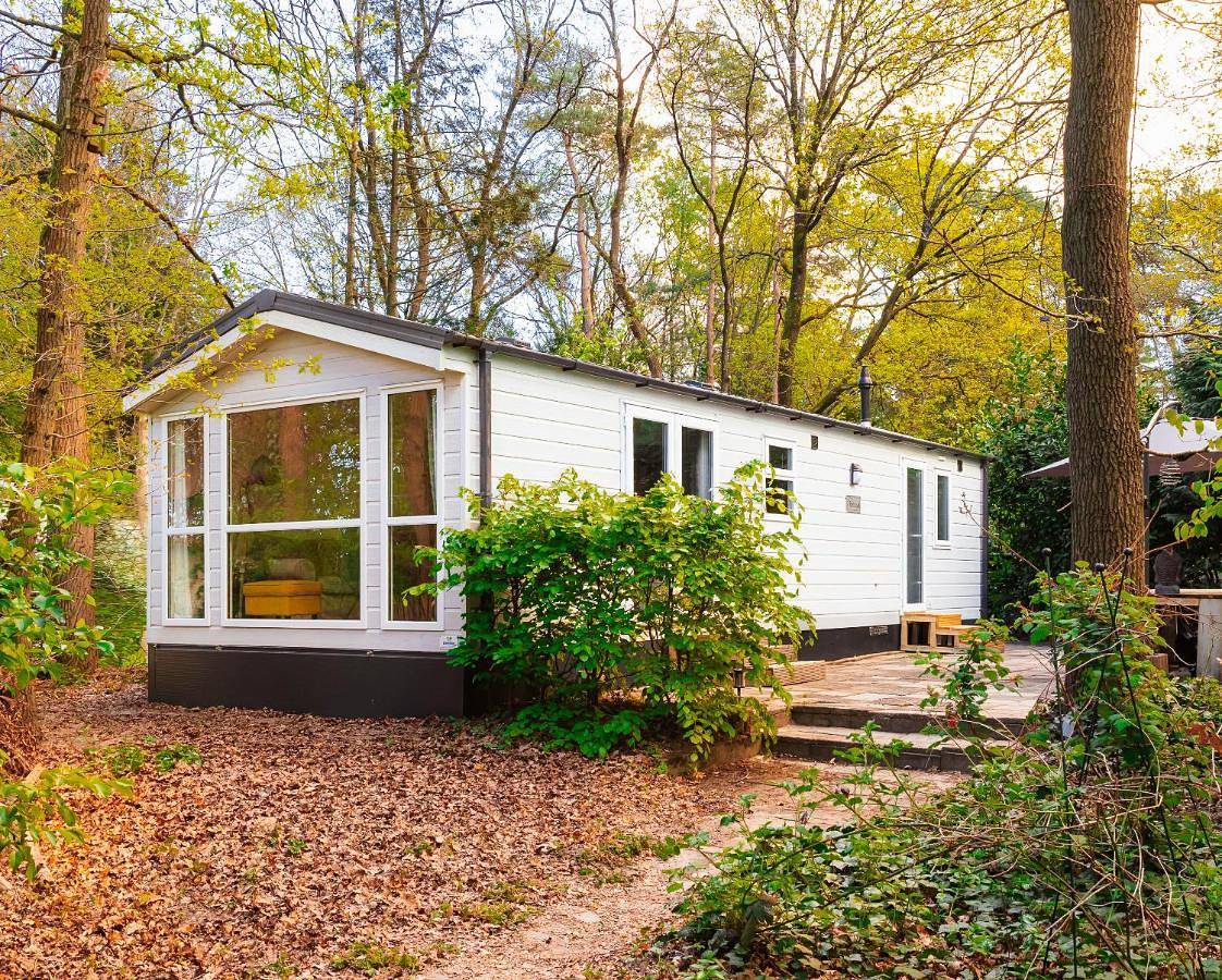 Modern chalet in bosrijke omgeving in Nunspeet, Veluwe