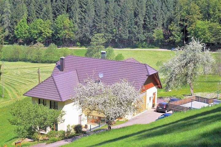 Ferienwohnung für 4 Personen, mit Garten in Schuttertal - 3
