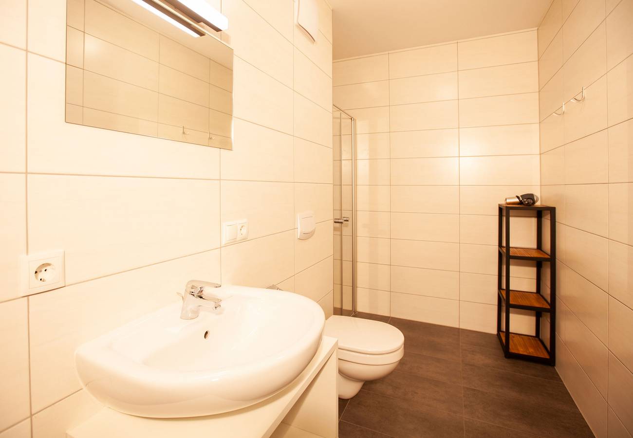 Ganze Wohnung, 4805 Cirrus 5 in Sankt Gallenkirch (Stadt), Sankt Gallenkirch