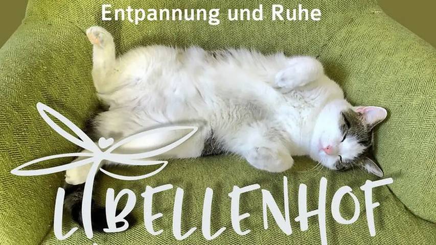 Ferienwohnung für 6 Personen, mit Garten