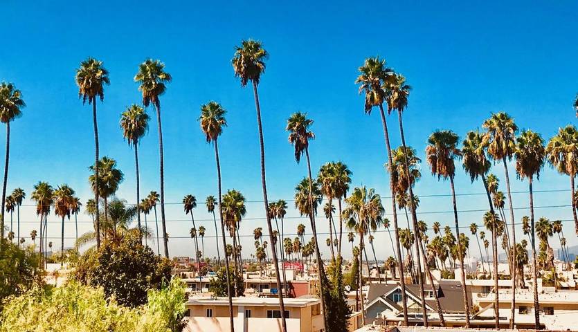 Chambre d’hôte pour 4 personnes, avec jardin et vue à Los Angeles - 4