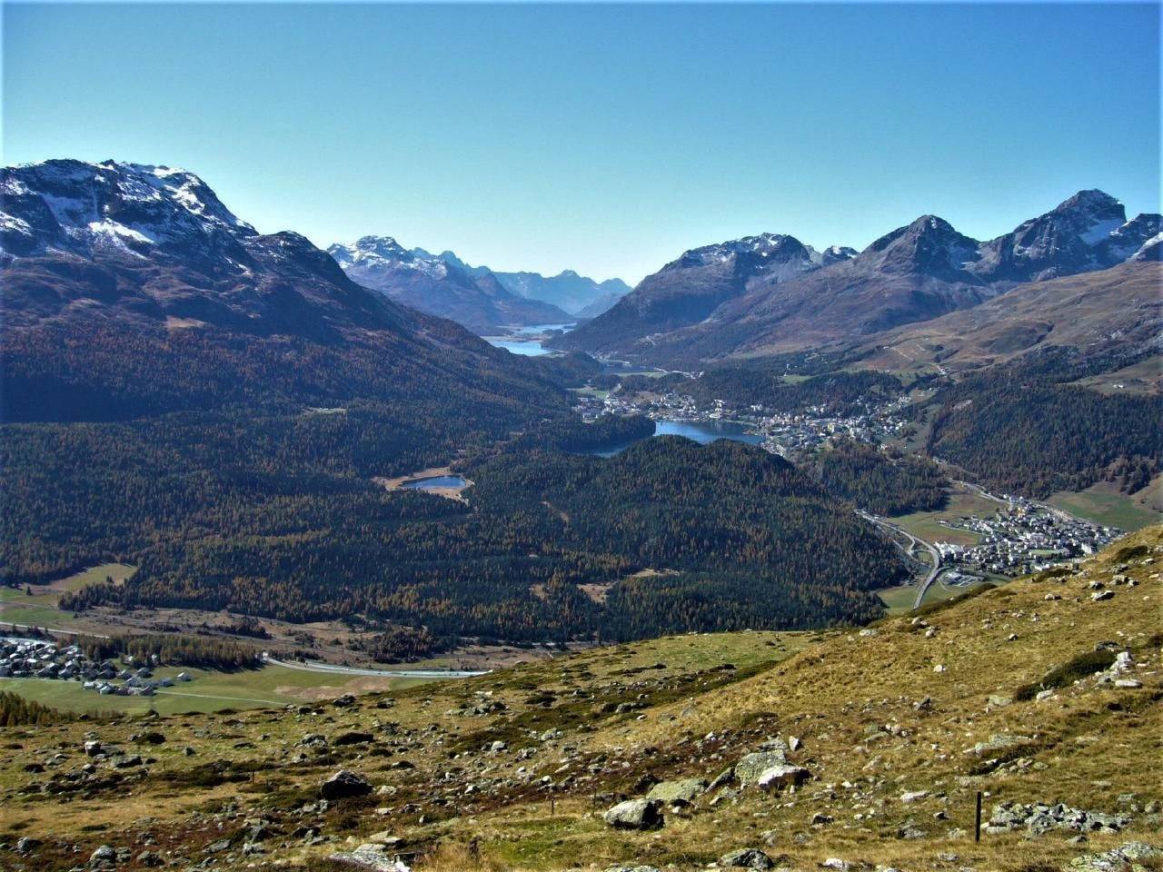 Ganze Wohnung, Arnica 3 in La Punt-Chamues-ch, Sankt Moritz