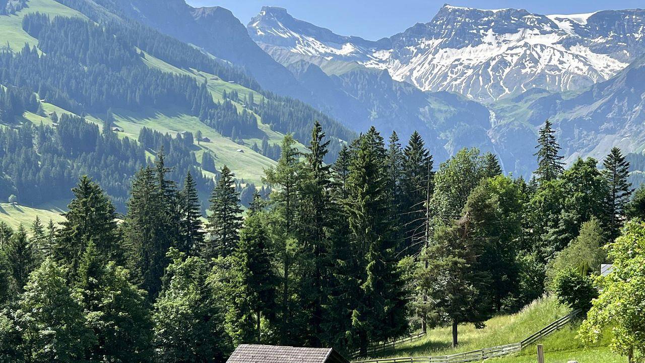 Ganze Ferienwohnung, Ferienwohnung für 2 Personen (39 m²) in Adelboden in Adelboden, Frutigen - Lenk - Adelboden