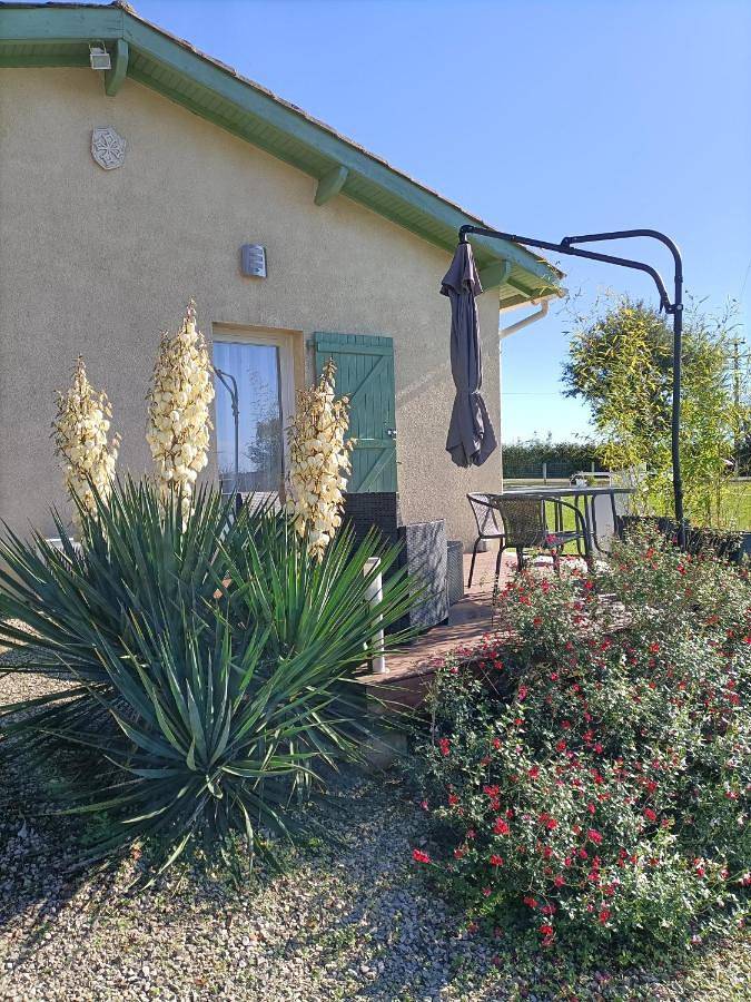 Location de vacances pour 2 personnes, avec terrasse et piscine ainsi que jardin et vue à Saint-Antonin-Noble-Val - 3