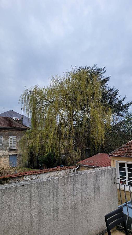 Gîte pour 5 personnes, avec vue, animaux acceptés à Saint-Brice-sous-Forêt - 4