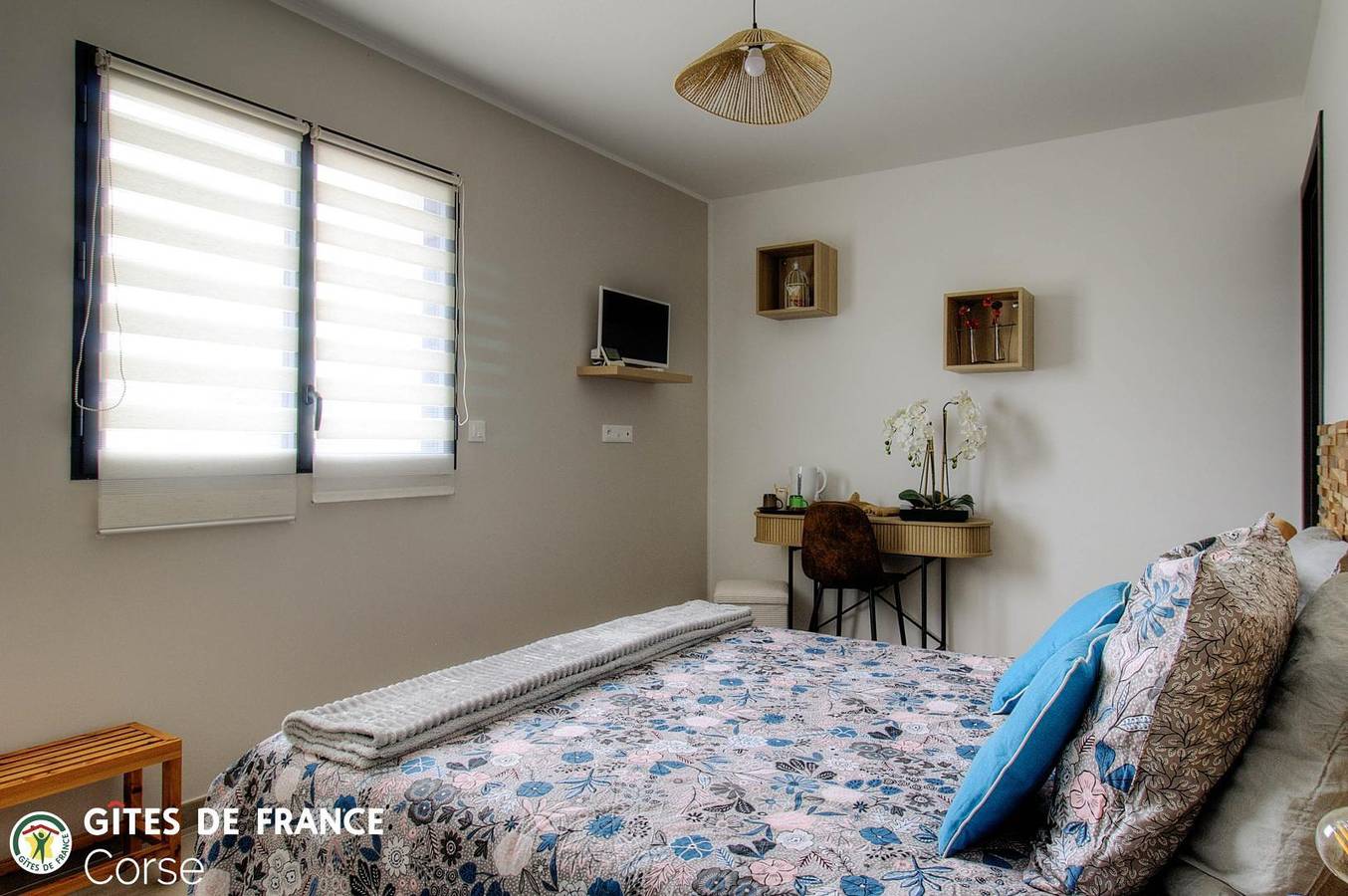 Palombaggia in Folelli, Penta-di-Casinca