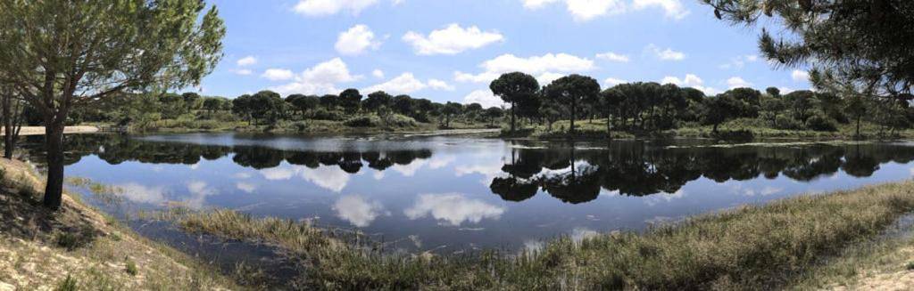 Villa para 6 pessoas, com Varanda e Terraço e ainda Jardim and Piscina em Alcácer do Sal