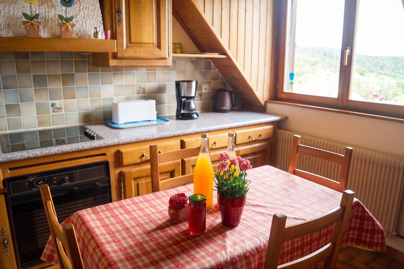Appartement entier, Appartement charmant à Thannenkirch avec vue montagne in Thannenkirch, Parc naturel régional des Ballons des Vosges