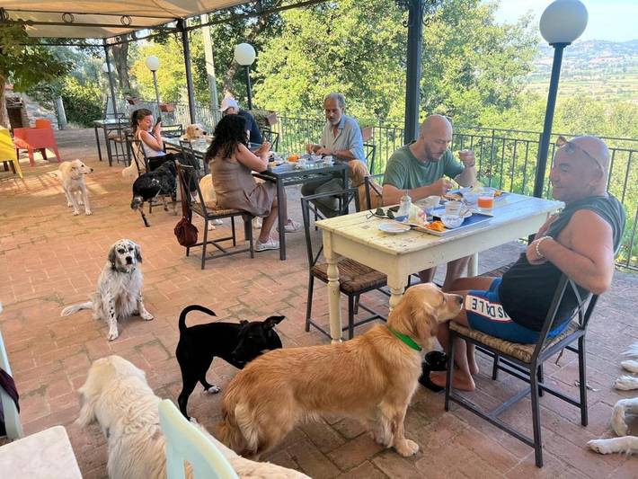 Gîte pour 2 personnes, avec piscine ainsi que vue et jardin, animaux acceptés à Trevi - 3