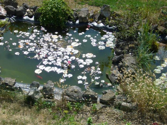 Gîte pour 2 personnes, avec jardin et vue dans Utah-Beach - 3