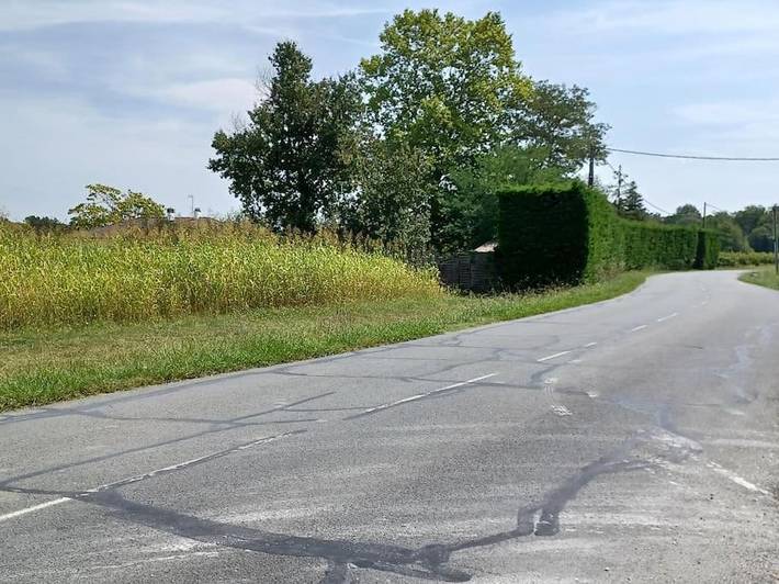 Location de vacances pour 6 personnes, avec vue et jardin, animaux acceptés dans La Sauve - 3