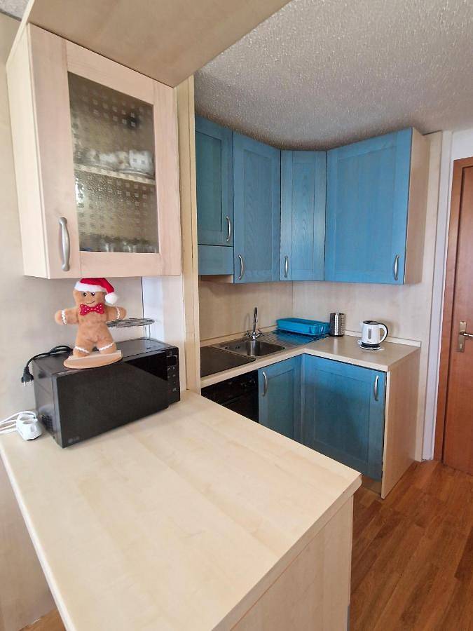 Gîte pour 6 personnes, avec vue et terrasse dans Passo Del Tonale - 2