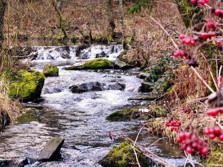 Location de vacances pour 6 personnes, avec vue et balcon à Bertogne - 2