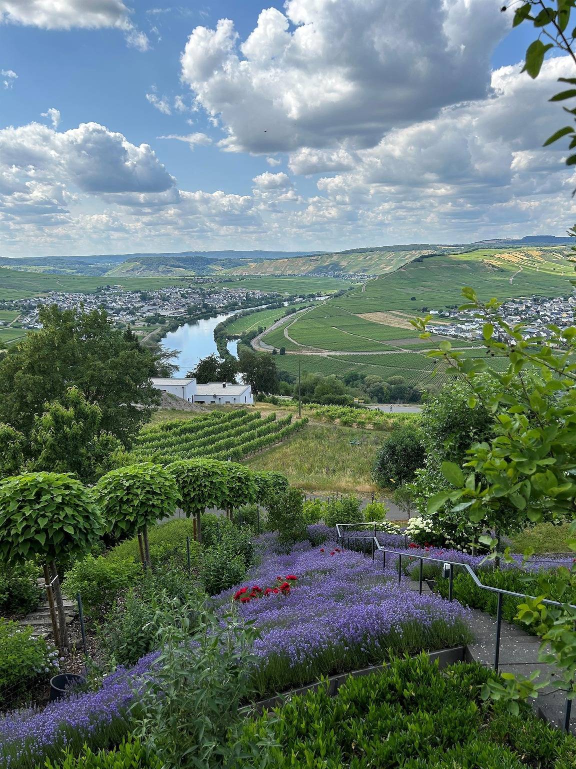 Ganze Ferienwohnung, Ferienwohnung "Auszeit Im alten Weinberg" in Leiwen, Moseleifel