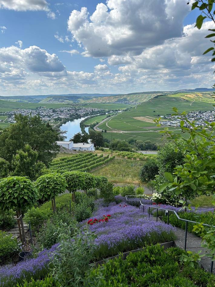 Ferienwohnung für 2 Personen, mit Terrasse und Garten in Leiwen - 2
