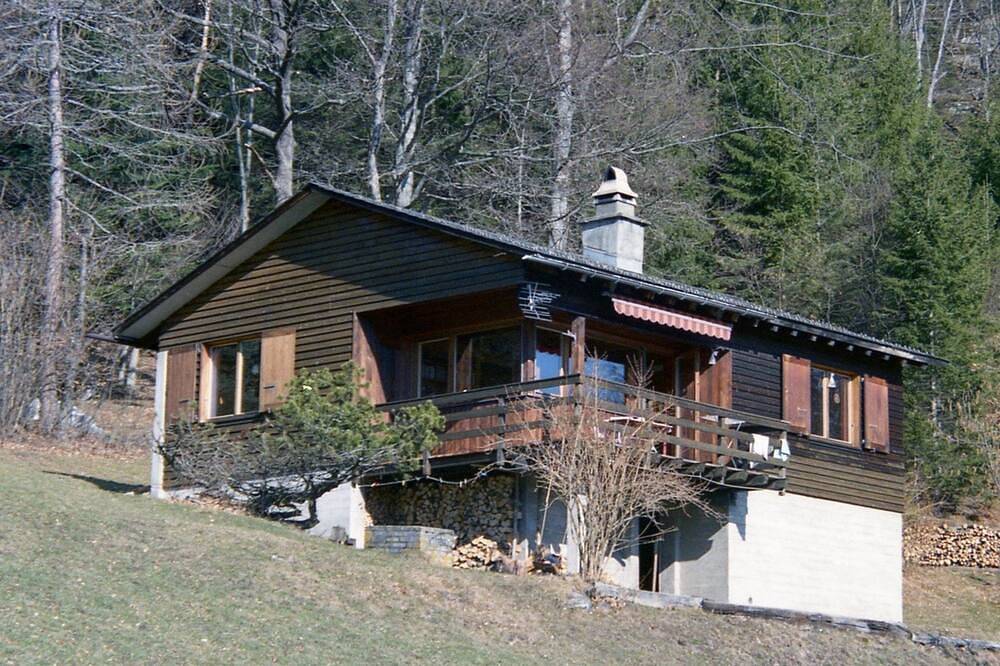 Ganze Wohnung, Ferienhaus Arnika, (Valens) in Pizol, Bad Ragaz