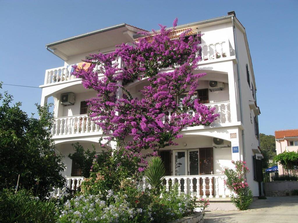 Ganze Wohnung, 1-Zimmer-Ferienwohnung mit Balkon und Meerblick Barbat, Rab A-17620-b in Barbat na Rabu, Rab