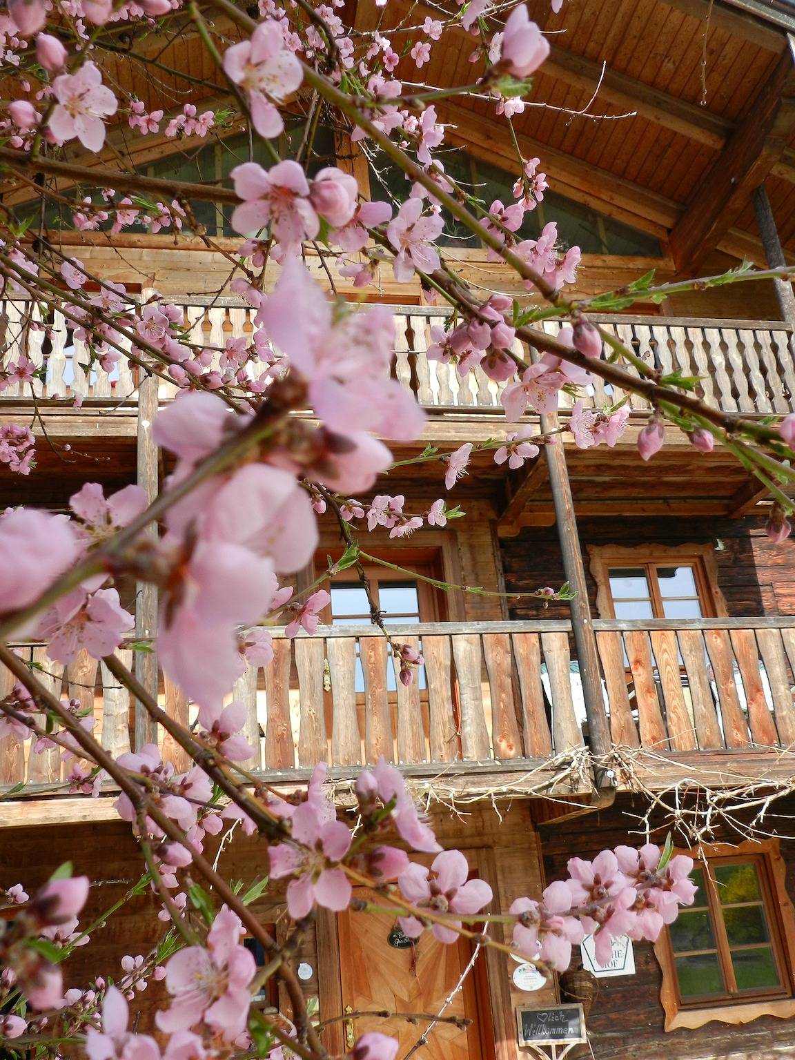 Wampendobler Paradies - Empore 2 in Egglham, Ostbayern