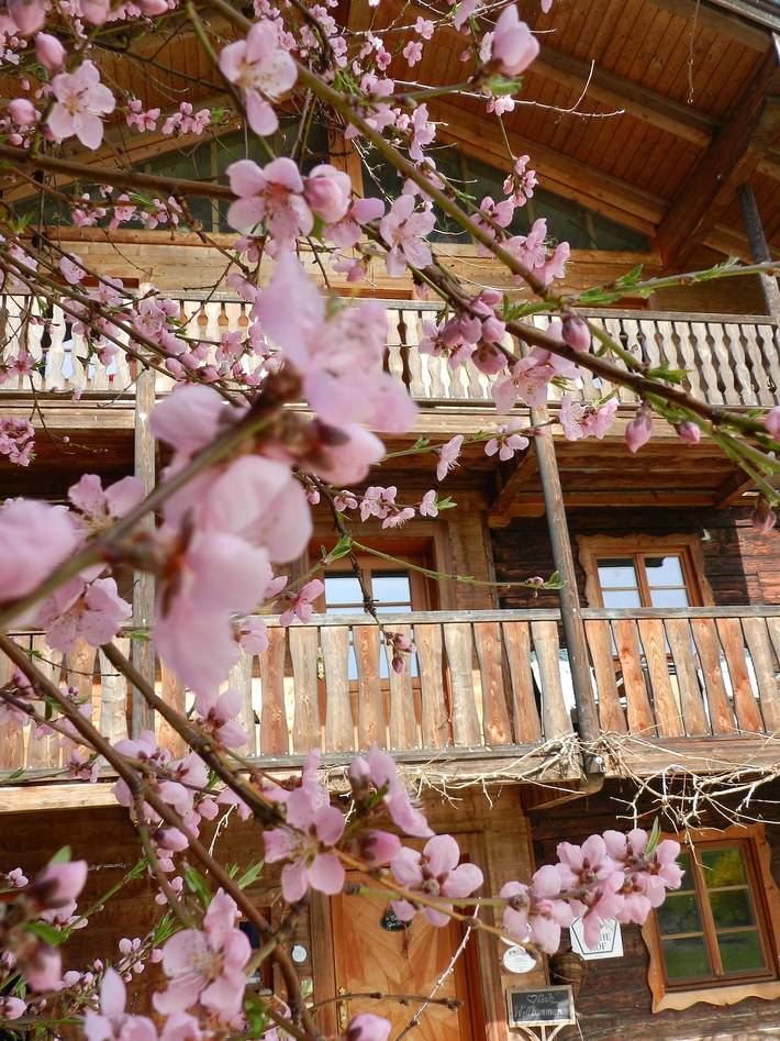 Bauernhof für 2 Personen, mit Garten und Whirlpool sowie Sauna, kinderfreundlich in Bayern - 4