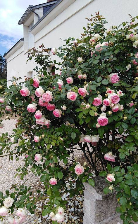 Gîte Plein Sud, 20 min de Beauval in Monthou-sur-Cher, Sologne