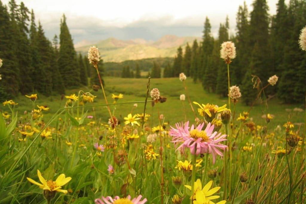 Nahe an Vail & Beaver Creek, komfortablem Bergurlaub Winter & Sommer !! in Eagle-Vail, Beaver Creek