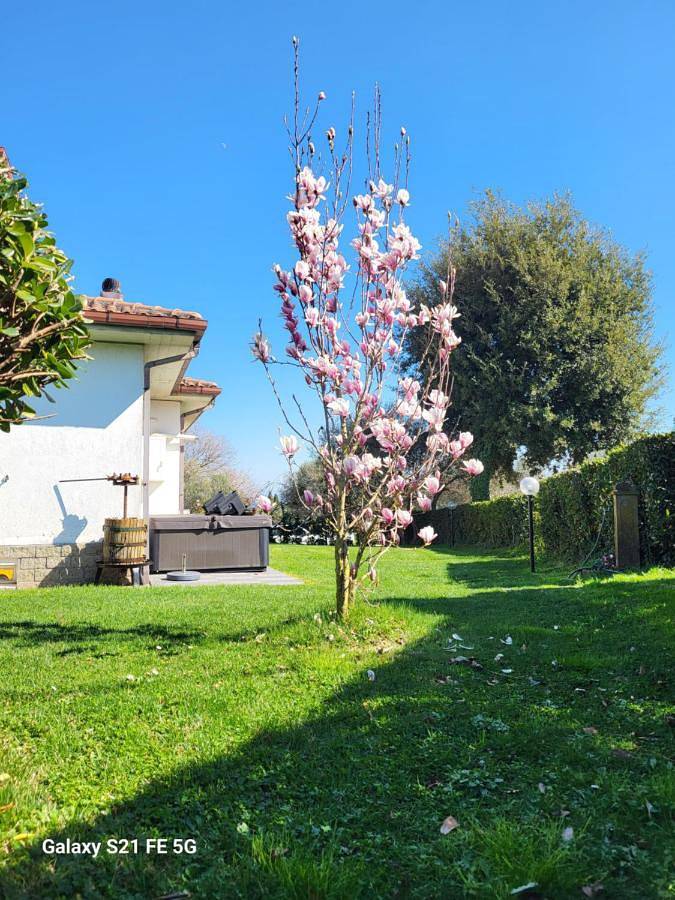 Ganze Wohnung, One-Bedroom Apartment in Vitorchiano, Viterbo Provinz