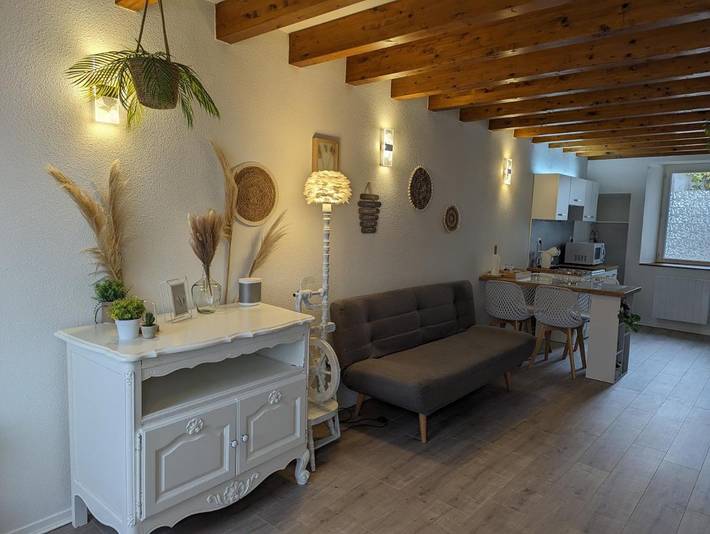 Location de vacances pour 4 personnes, avec jacuzzi à Andance - 2