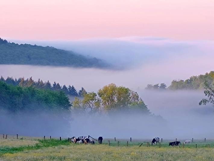 Cottage pour 3 personnes, avec jardin, animaux acceptés dans Gros Fays