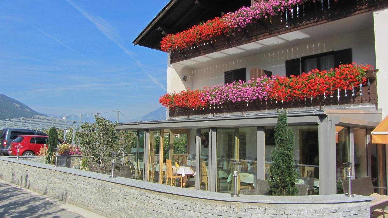 Single Room in Laces, Parco Nazionale dello Stelvio