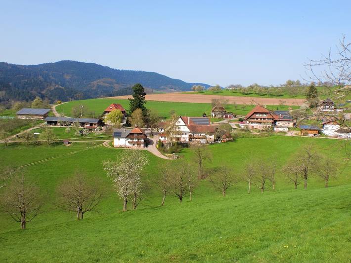 Ganze Wohnung, Ferienwohnung 'Im Bauernhaus' mit Bergblick, Gemeinschaftsterrasse und Gemeinschaftsgarten in Oberharmersbach, Mittlerer Schwarzwald