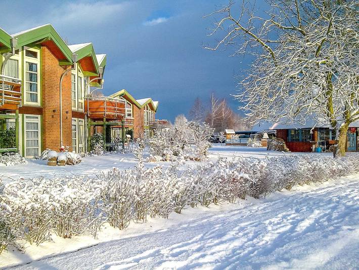 Ferienpark für 4 Personen, mit Garten und Terrasse sowie Sauna und Seeblick, mit Haustier in Mecklenburgische Seenplatte - 4