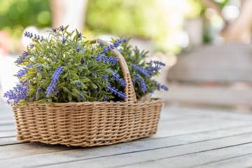 Ferienhaus in Playa de Alcúdia, Alcúdia für 6 