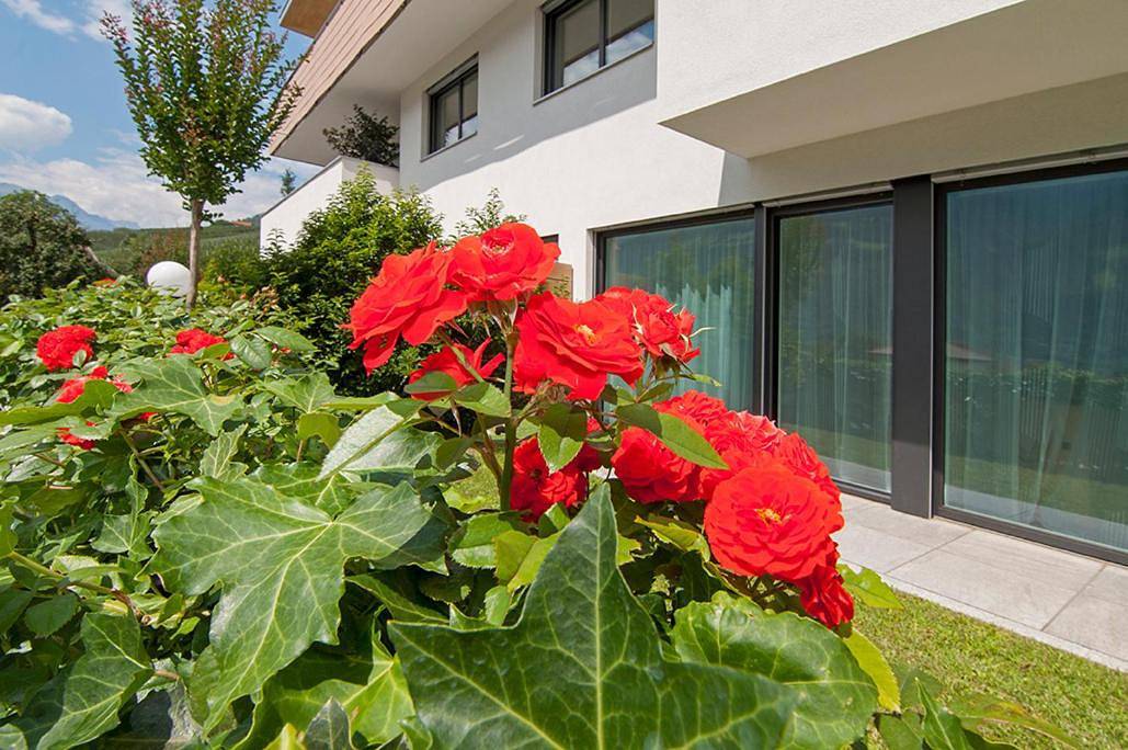 Ganze Wohnung, Apartment with Terrace in Kastelbell, Kastelbell-Tschars