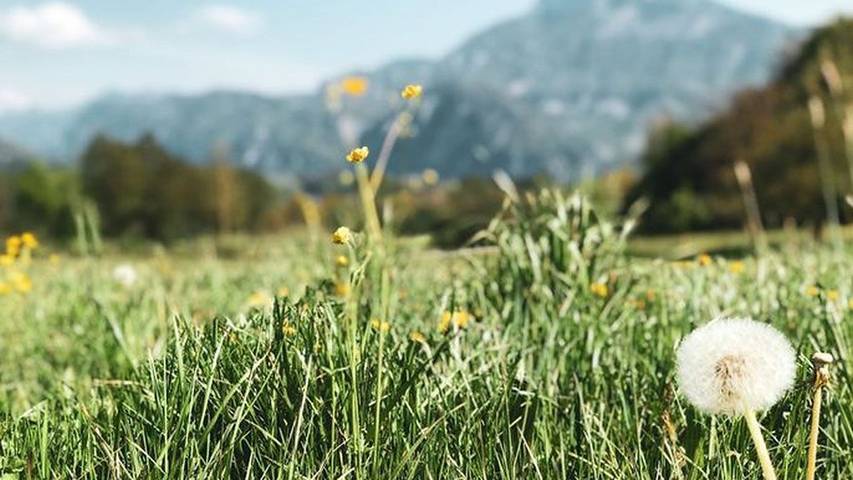 Vakantiewoning voor 2 personen, met uitzicht op het meer en tuin aan de Mondsee